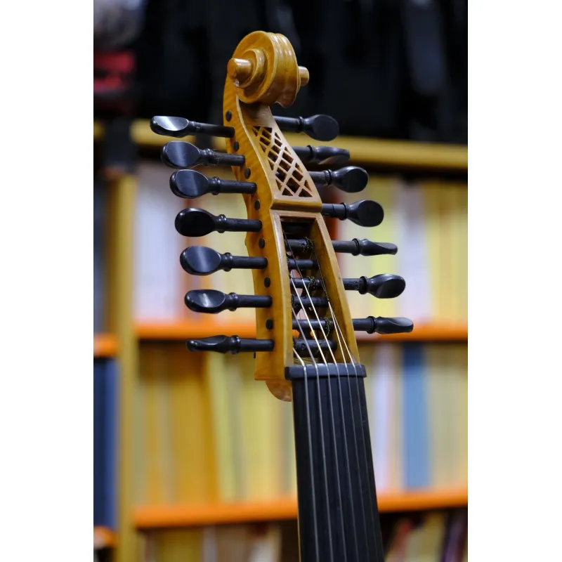 Must-Have Viola d‘amore Olvino Domini - Usato