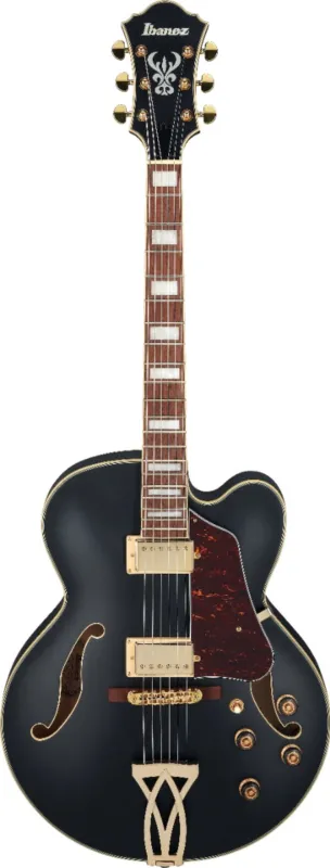 Vendita Finale Ibanez Artcore Af75G-BKF