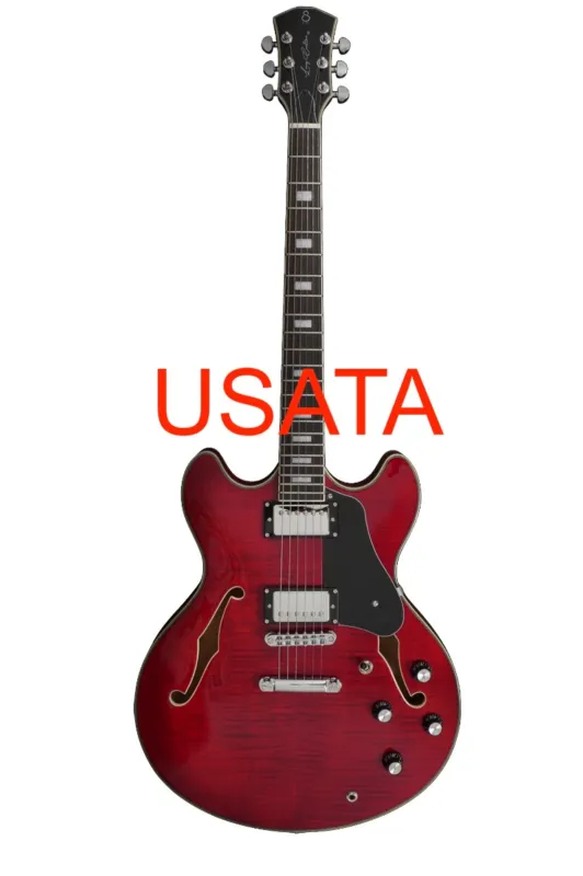 Larry Carlton H7 Str See Though Red Usata Vendita Finale