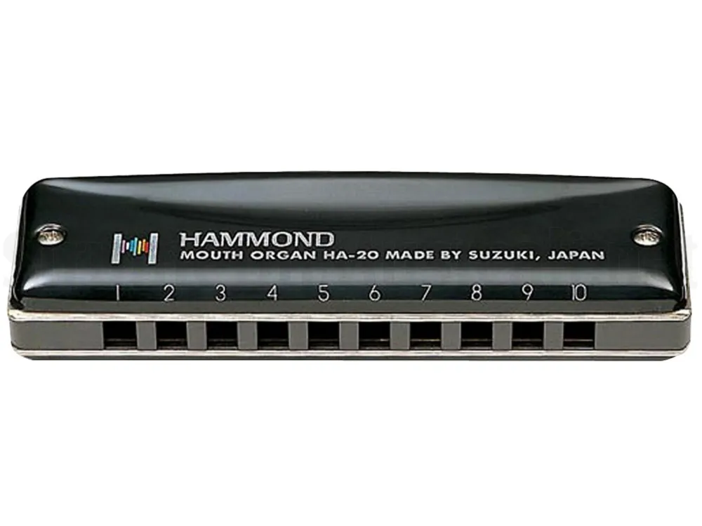 Consegna Rapida SUZUKI Promaster Hammond HA-20 G (SOL)