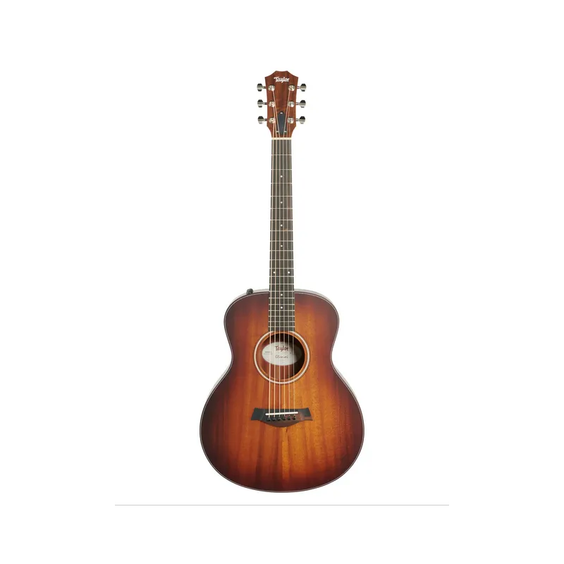 TAYLOR GS MINI e KOA PLUS Promo Stagionale