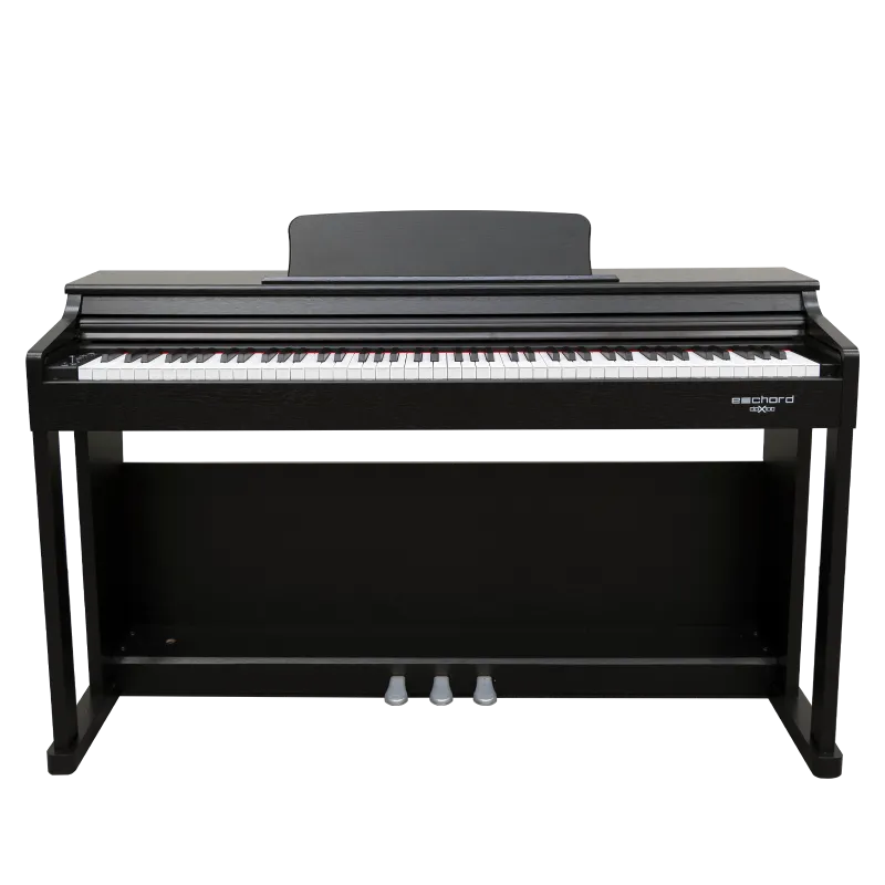 ECHORD DPX-100 - SATIN BLACK Esclusivo