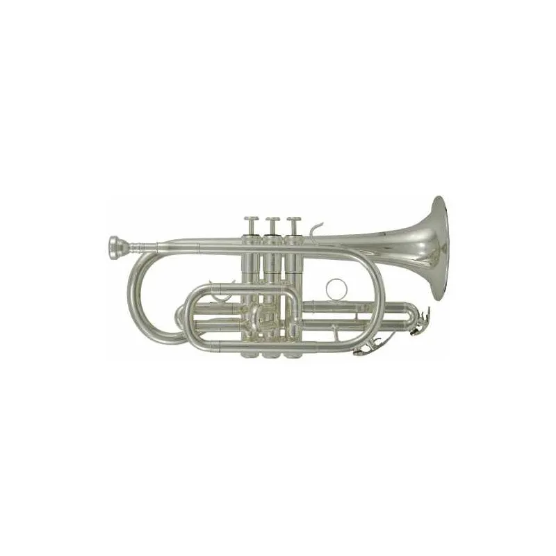 SOLMER CR 202S Pagamento Sicuro
