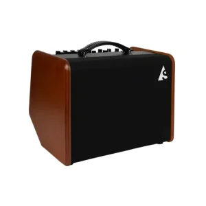 GODIN ASG-8 ACOUSTIC SOLUTIONS AMP 120W Ultima Occasione