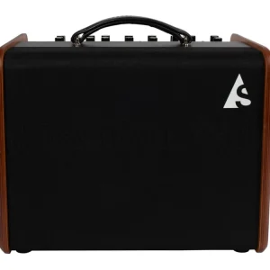 Occasione Imperdibile GODIN Acoustic Solutions ASG-8 Wood 120