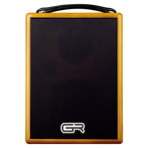 GR GUITAR WD Acoustic 5 Solo Oggi