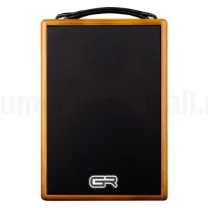 Promozione Esclusiva GR GUITAR WD Acoustic 6