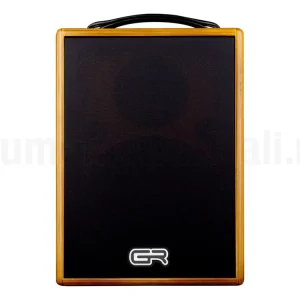 GR GUITAR WD Acoustic 8 Soddisfatti O Rimborsati