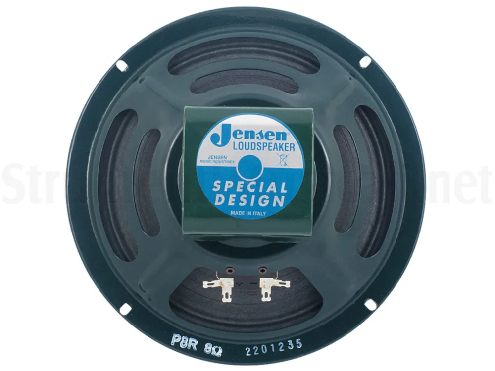 Di Tendenza JENSEN P8R 8 Ohm