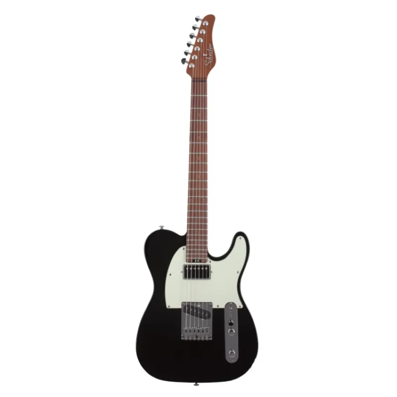Prezzo Conveniente Schecter NICK JOHNSTON PT-SH-AINK NICK JOHNSTON PT