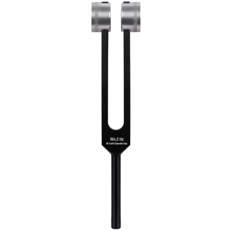 Schlagwerk PTF-DY - Power Tuning Fork - Earth Year 194,2 Hz Prezzo Ridotto