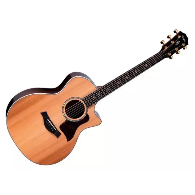 Taylor 714ce Next Generation Vendita Finale