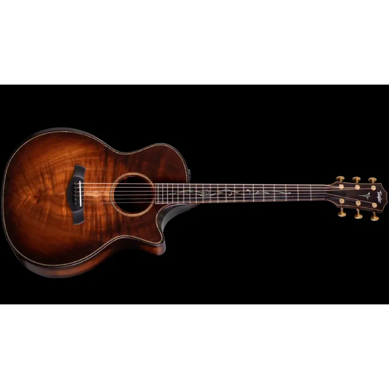 Taylor K24ce Builder‘s Edition Occasione Imperdibile