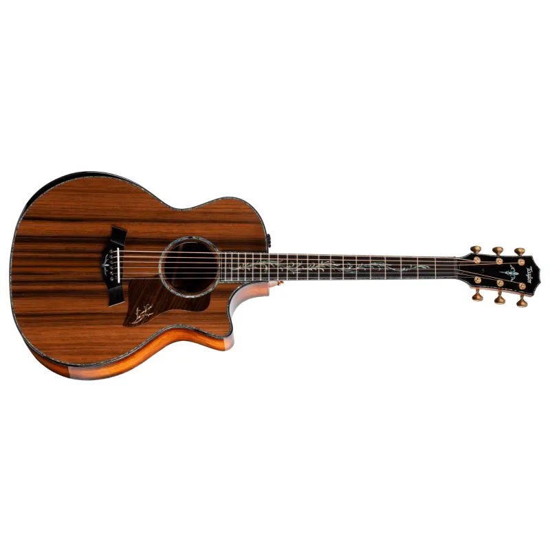 Acquista Ora Taylor PS14ce Honduran Rosewood