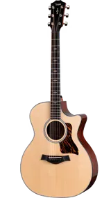 Affare Taylor 314ce Next Generation < Lenzotti Strumenti Musicali