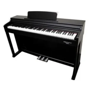 Echord DPX-100B Black < Lenzotti Strumenti Musicali Miglior Prezzo