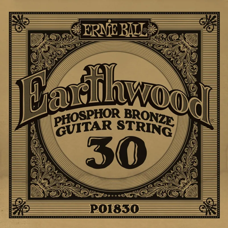 1830 Earthwood Phospor Bronze .030 Centro Chitarre Direttamente Dal Produttore