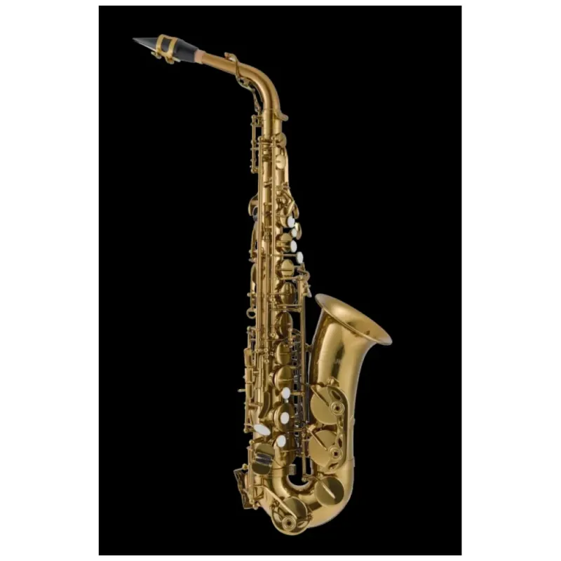 Acquista Ora LEBLANC SAX ALTO LAS411 ADVANCED