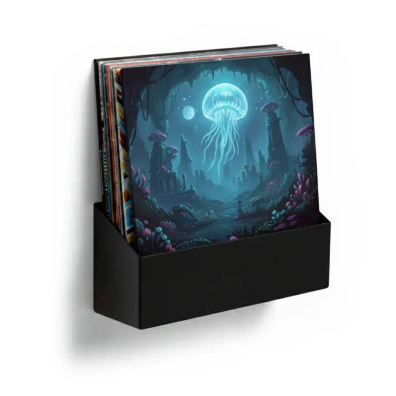 Offerta Limitata Studio 57 Vinyl Væghylde Small (sort)