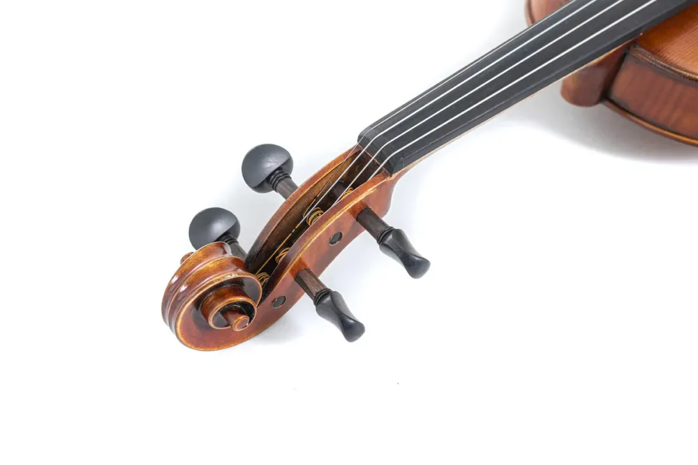 GEWA Violin Maestro 2 - 1/4 (Ready to play, transport-secured) Miglior Prezzo