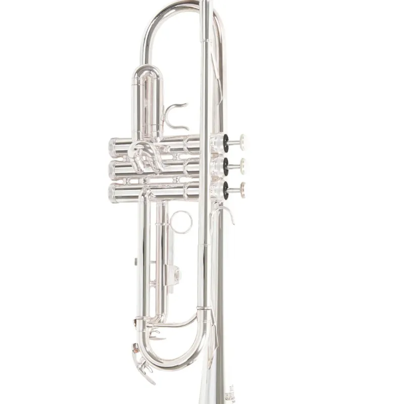 Roy Benson Bb-Trumpet Roy Benson TR-202S - TR-202S Offerta Speciale