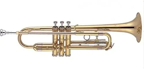 Affare J. MICHAEL TR200 TROMBA DA STUDIO IN SIB LACCATA ORO CON CUSTODIA TR-200