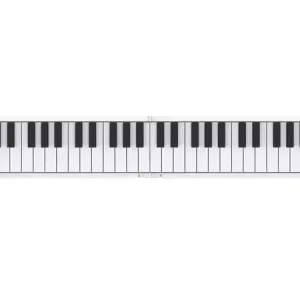 CARRY ON FOLDING TASTIERA A PIANO 49 TASTI REGOLARI PIEGHEVOLE CON USB MIDI Offerta Lampo