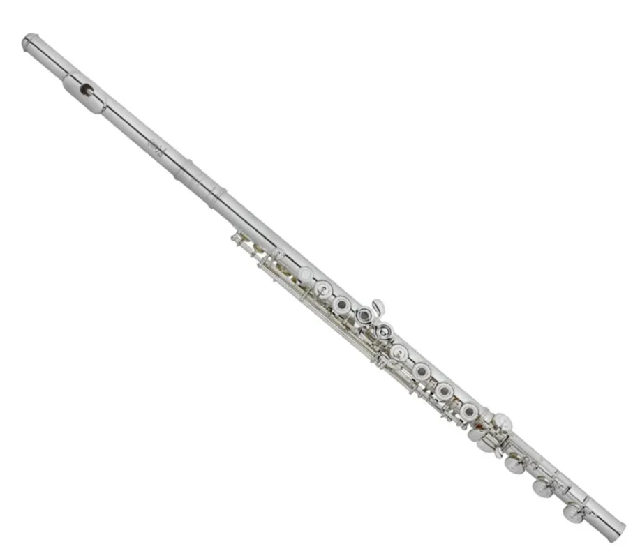 Compra Adesso HAYNES FLUTE Q1 OEB FLAUTO TRAVERSO PROFESSIONALE CON TESTATA IN ARGENTO FORI APERTI AL SI Q-1