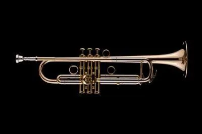 SCHAGERL J. MORRISON JM1X-L SIGNATURE Trombe sib canneggio Large Subito Disponibile