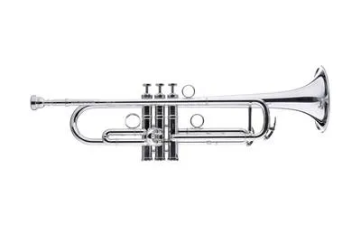 SCHAGERL J. MORRISON JM1X-S SIGNATURE tromba SIb Canneggio Large Miglior Prezzo