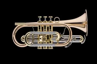 SCHAGERL HANS GANSCH SIGNATURE Cornetta Sib laccata Prezzo Scontato