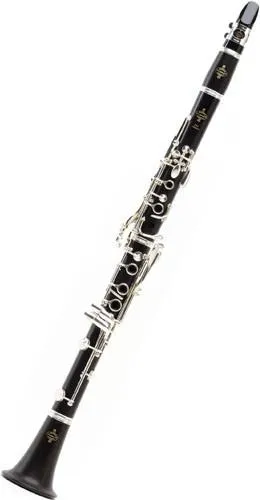 Acquista Ora BUFFET CRAMPON BC2501-2-0GB E11 Clarinetto Sib 17/6 completo