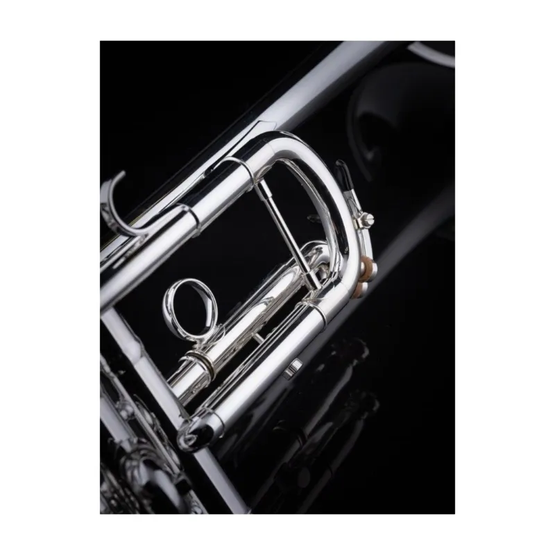 Esclusivo SCHAGERL 1961 ML YELLOBRASS 2021 TROMBA IN Bb ARGENTATA