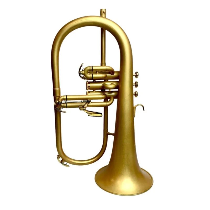 Bbrass fh1000 flicorno soprano brush gold Subito Disponibile