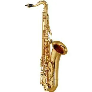 Yamaha yts480 sax tenore Solo Oggi