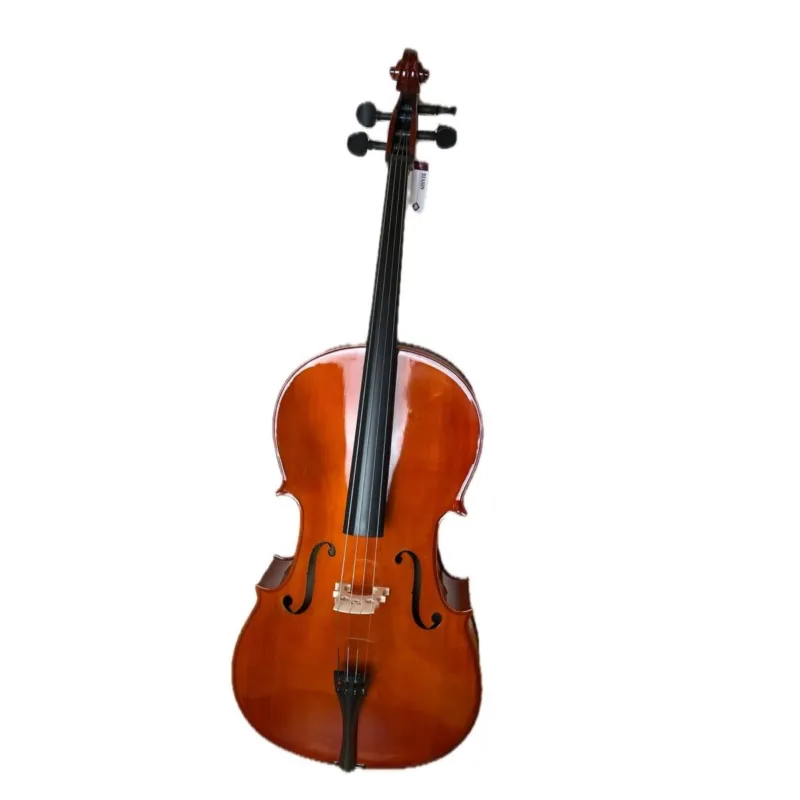 Non Perdere Plc 011-1avp44 b.torrelli violoncello 4/4