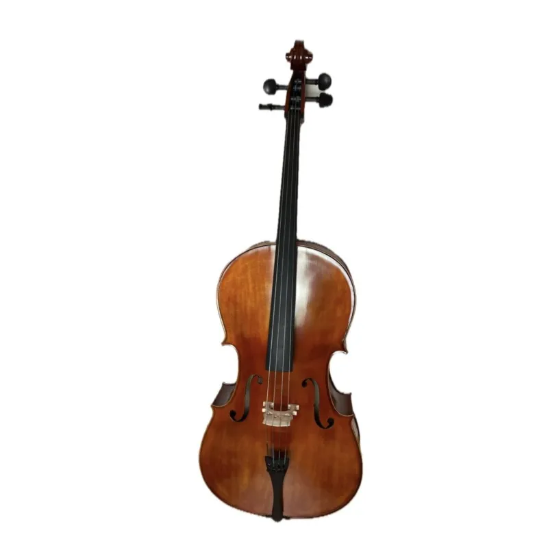 Plc 013-2tl44 p.quagliati violoncello 4/4 Prezzo Basso