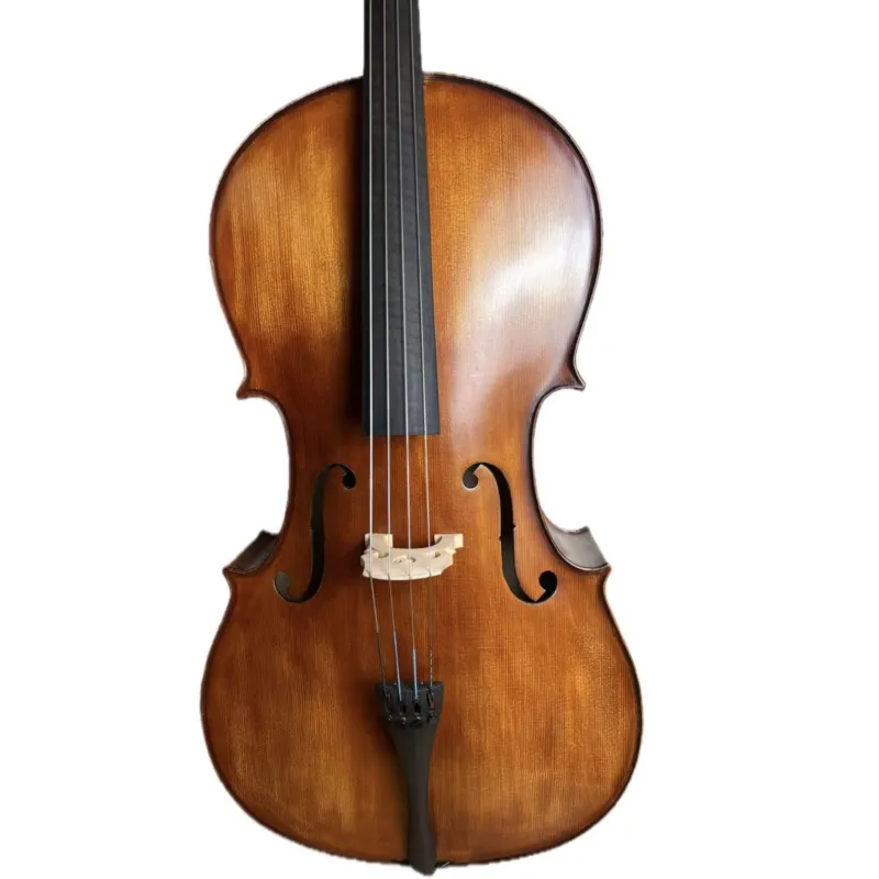 Master luthiers 013-3tl44 b.bononcini violoncello 4/4 Professionale