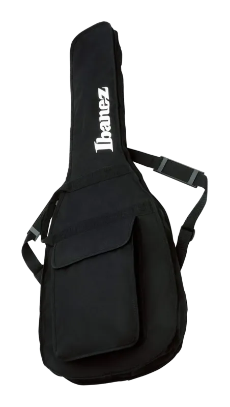 Offerta Lampo Ibanez IBB101 (Basso Elettrico)